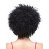 Afro curl wig 2